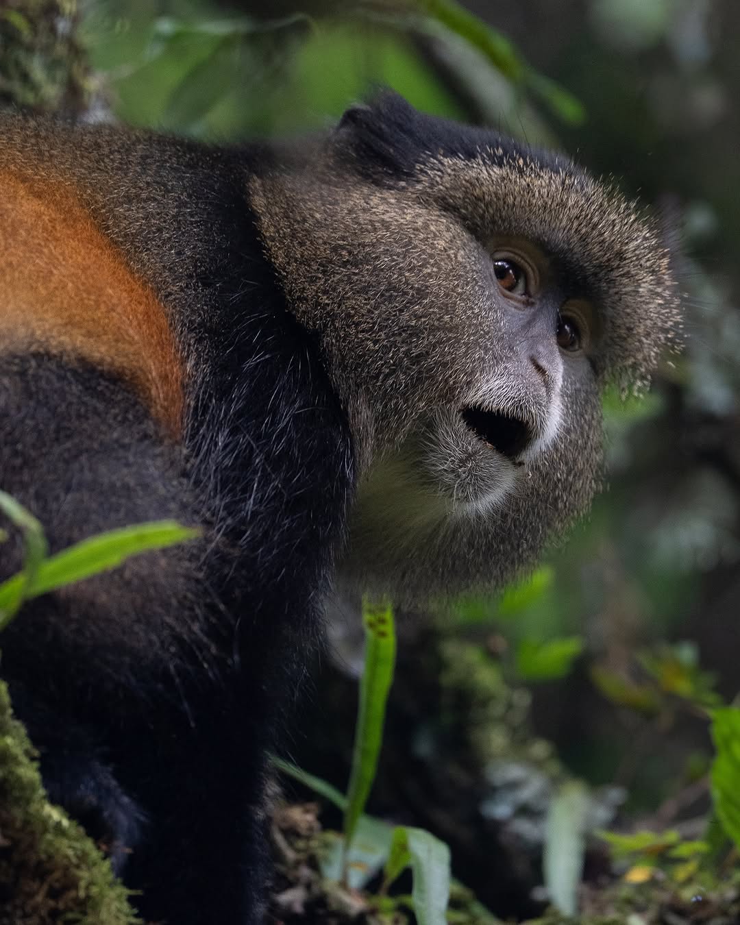 Why Choose Satellite Adventures?