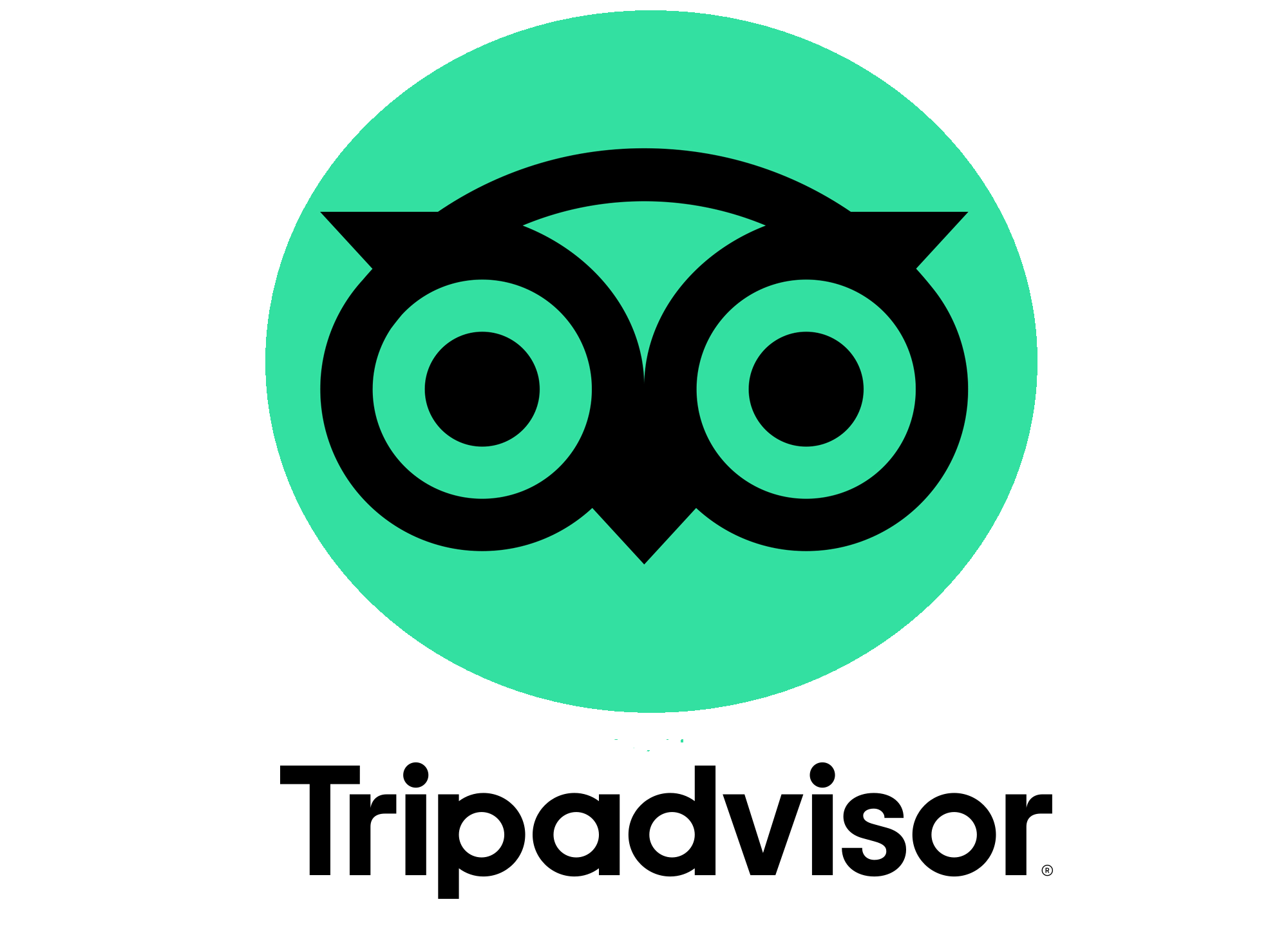 Trip Advisor