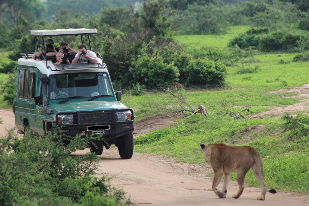 Ultimate 6 Days Kenya Safari Adventure – Wildlife, Landscapes & Big Five