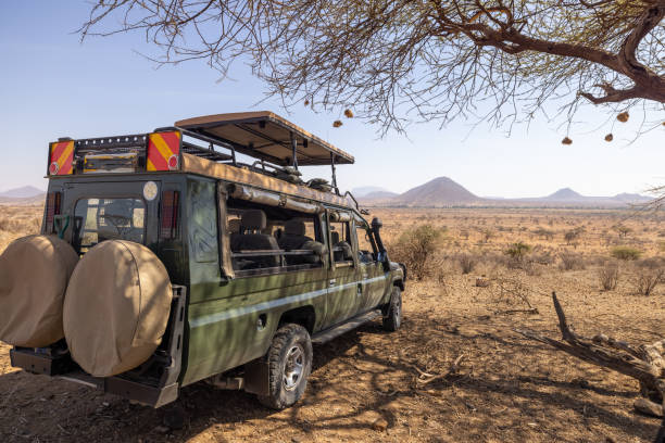 14-Day Kenya and Uganda Road Safari | Gorillas, Chimps & Big Five